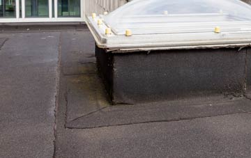disadvantages of Lowedges flat roofs