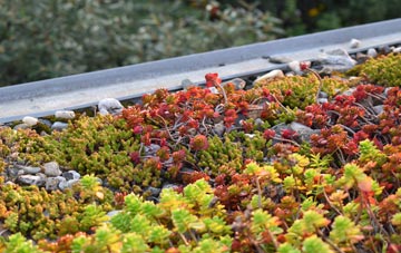 the cost of Lowedges green roof installation