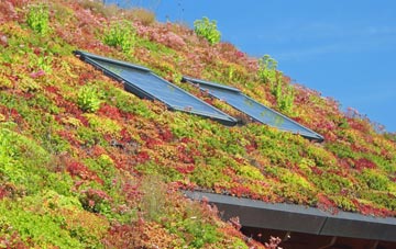 Lowedges living roof systems
