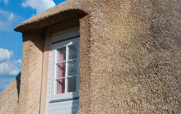 Lowedges thatch roof disadvantages